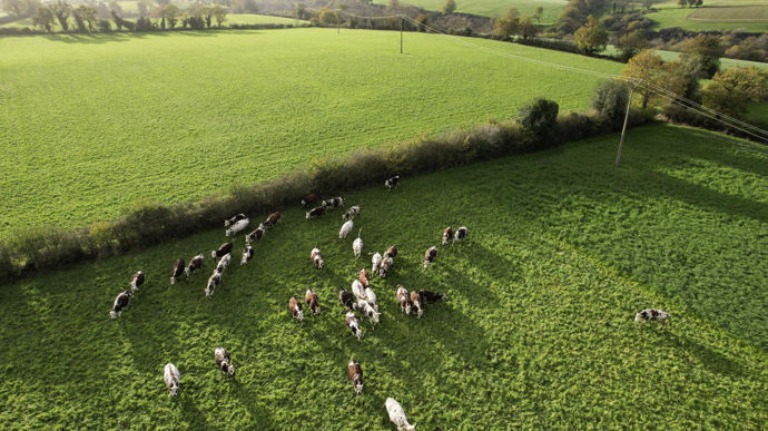 Ce que prévoit la stratégie nationale bas carbone pour lagriculture