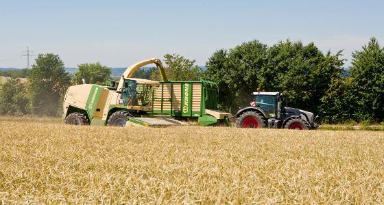 L'Usda s'attend à une baisse des surfaces cultivées en blé aux Etats-Unis