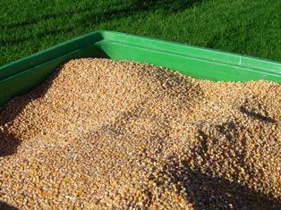 Les stocks de maïs grains resteront tendus dans les prochains mois.
