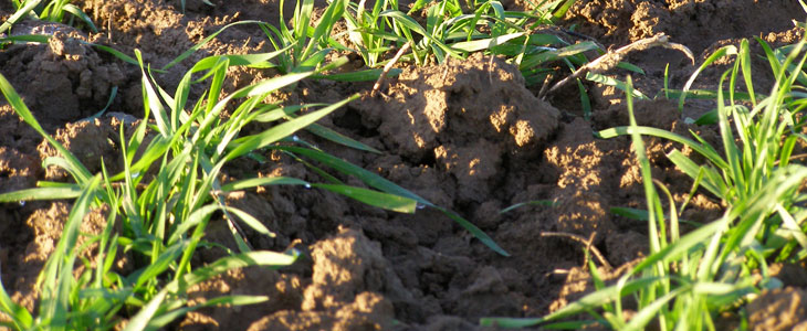 Essai Terre à Terre 2011 - Optimisation des intrants et autoguidage Agrifac/ Jonqsma Yntre La précision pour un automoteur de professionnel !