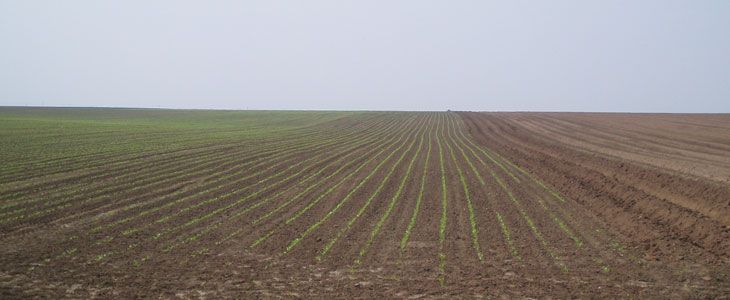 Essai Terre à Terre 2011 – Console multifonction Green Star 3 2630 de John Deere Luc Tesnière: « L'agriculture de précison est dès aujourd'hui le mot d'ordre que l'on doit se donner ! »