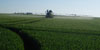 Repères pour la campagne - Volume de bouillie de 150 l/ha minimum pour assurer l'efficacité du traitement
