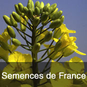 Semences de France