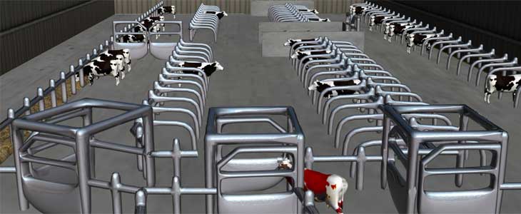Catherine Journel, vétérinaire : « Une différenciation des vaches comme dans les très grands troupeaux » (partie 2)
