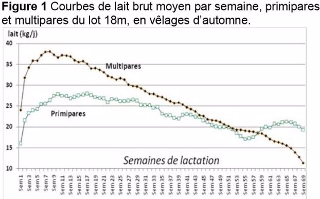 Allongement des lactations des vaches laitières