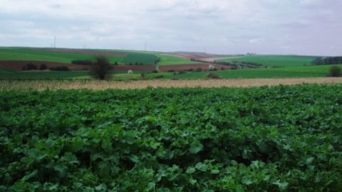Les petites exploitations pas épargnées par la baisse des aides