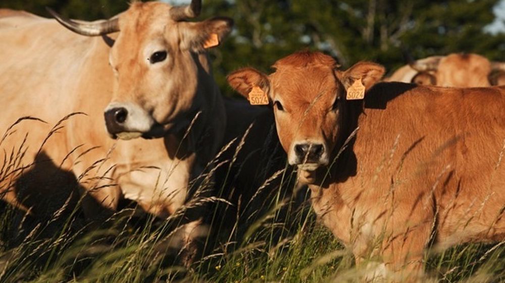 La 23ème édition espère 85.000 visiteurs