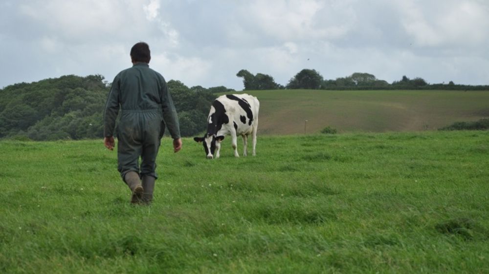 Les services de remplacement veulent accompagner les mutations du monde agricole