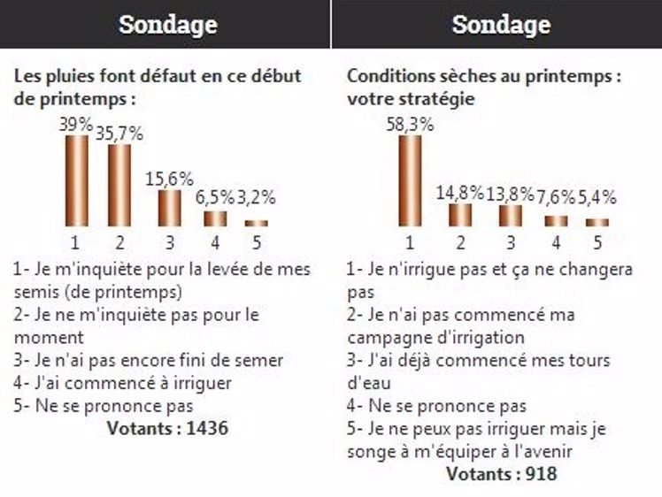 Vos réactions aux conditions printanières sèches