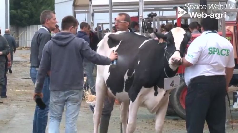 Marcel Denieul : « Une tendance équivalente à l’édition record de l’an dernier »