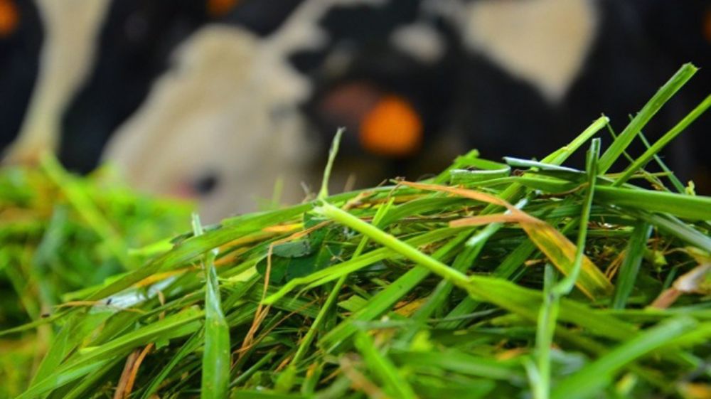 Pas de coût supplémentaire pour le Gaec de la Bellegarde