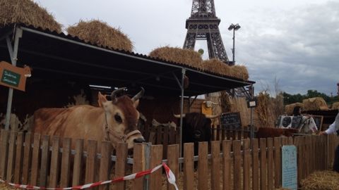 Ce week-end, les agriculteurs prolongent la journée mondiale de la biodiversité Ce week-end, les agriculteurs prolongent la journée mondiale de la biodiversité