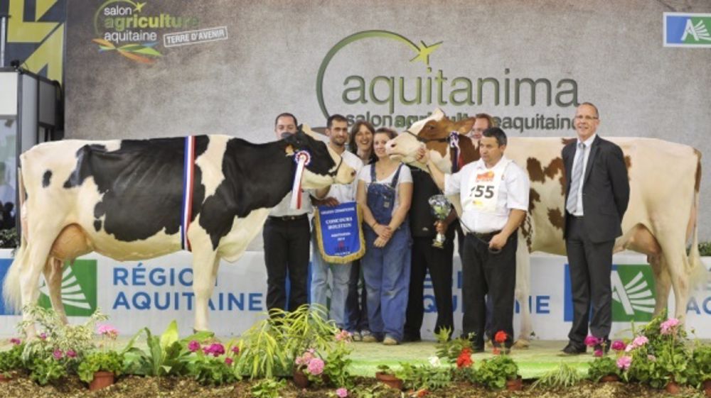 Palmarès des concours prim'holstein, limousin et blonde d'Aquitaine