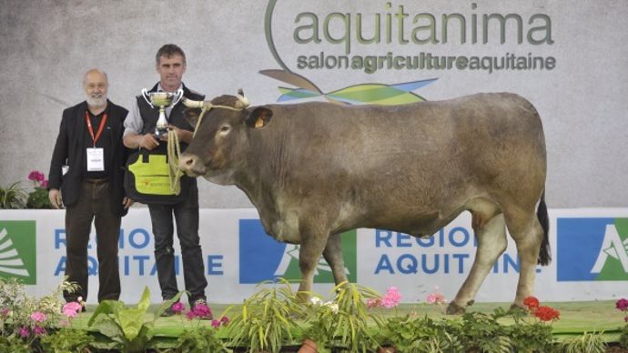 Palmarès Bazadaise d'Aquitanima 2014