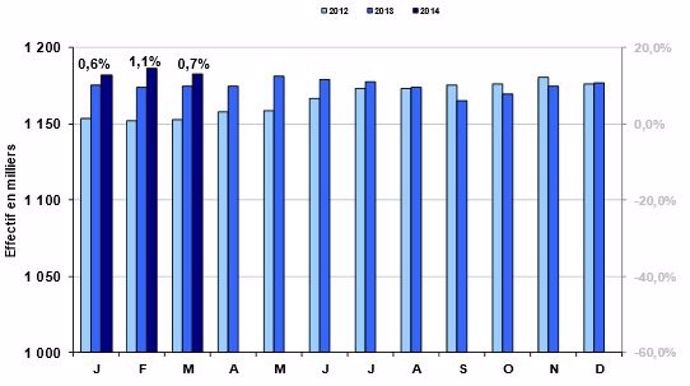 Effectis de génisses laitières