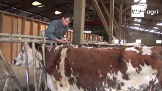 L'aromathérapie bovine en pratique avec Gaëtan Marquet (35) L'aromathérapie bovine en pratique avec Gaëtan Marquet (35)