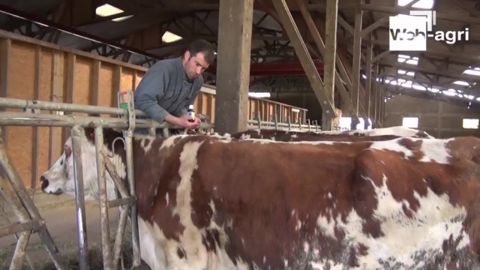 L'aromathérapie bovine en pratique avec Gaëtan Marquet (35) L'aromathérapie bovine en pratique avec Gaëtan Marquet (35)