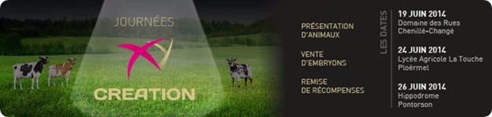 Vente silencieuse d'embryons lors des journées XY Création d'Evolution
