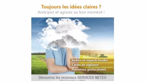 Les incontournables pour organiser ses récoltes