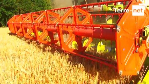 « Des disparités énormes » avec des rendements de 40 à 100 quintaux