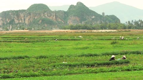 La mousson indienne déjà impactée par El Niño ?