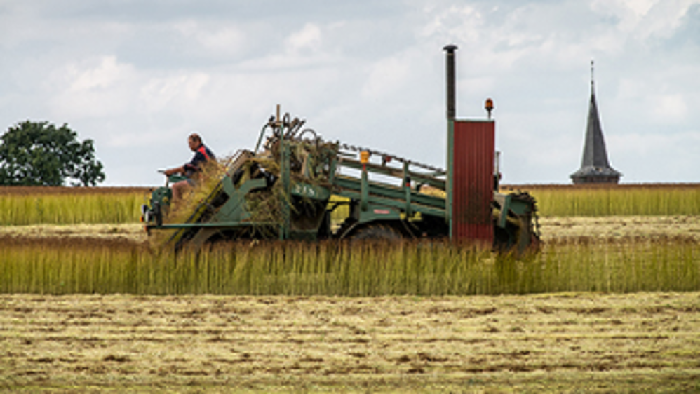 « Pas de place pour de nouveaux hectares en 2015 ! »