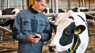 CowView : détection des problèmes et des moments d'insémination CowView : détection des problèmes et des moments d'insémination