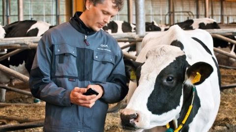 CowView : détection des problèmes et des moments d'insémination CowView : détection des problèmes et des moments d'insémination
