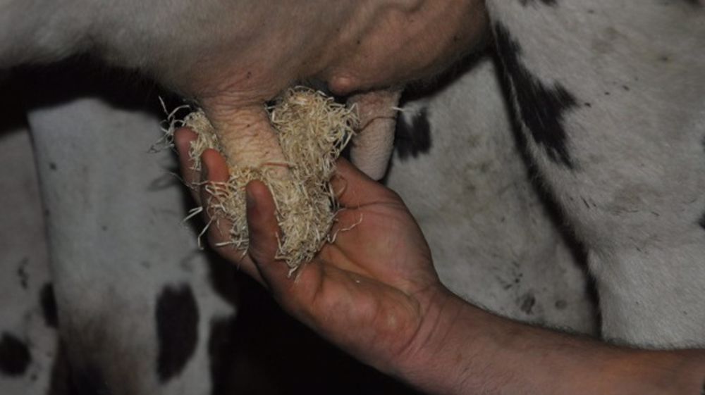 La laine de bois : un gain de temps voire d’argent