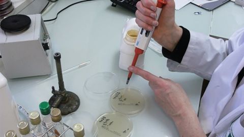 Evaluer l'efficacité des huiles essentielles avec Phytogramme® de Resalab Evaluer l'efficacité des huiles essentielles avec Phytogramme® de Resalab