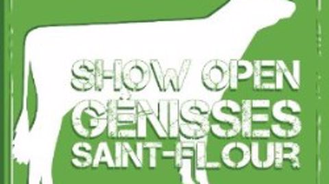 Le Show Open génisses aura lieu à Saint-Flour (Cantal) cette année Le Show Open génisses aura lieu à Saint-Flour (Cantal) cette année