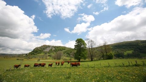 Régionaliser le 2e pilier de la Pac, une opportunité pour l'agriculture