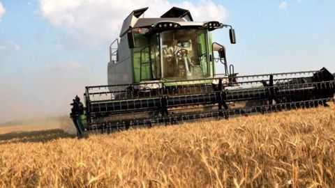 Les inquiétudes sur la qualité rendent le marché très volatil Les inquiétudes sur la qualité rendent le marché très volatil