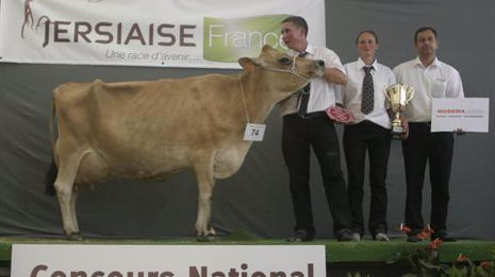 Concours National à Chemillé (Maine-et-Loire), les 6 et 7 septembre 2014