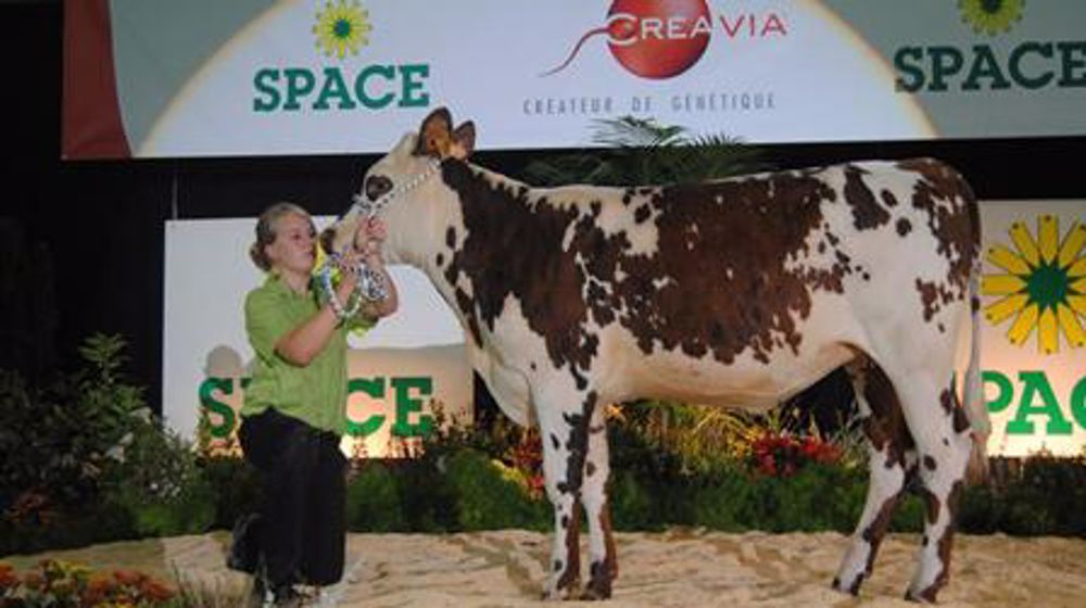 Première vente multi-races laitières au Space (Maj avec liste des contrats) Première vente multi-races laitières au Space (Maj avec liste des contrats)