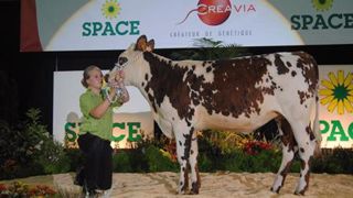 Première vente multi-races laitières au Space (Maj avec liste des contrats) Première vente multi-races laitières au Space (Maj avec liste des contrats)