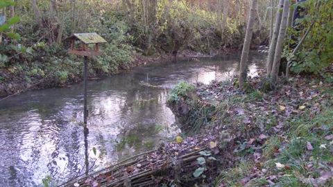 Pollution par les nitrates à partir de sources agricoles Pollution par les nitrates à partir de sources agricoles