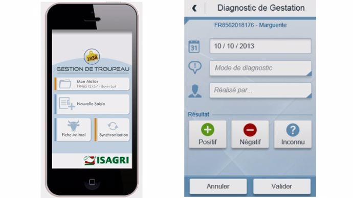 Isalait Smarphone