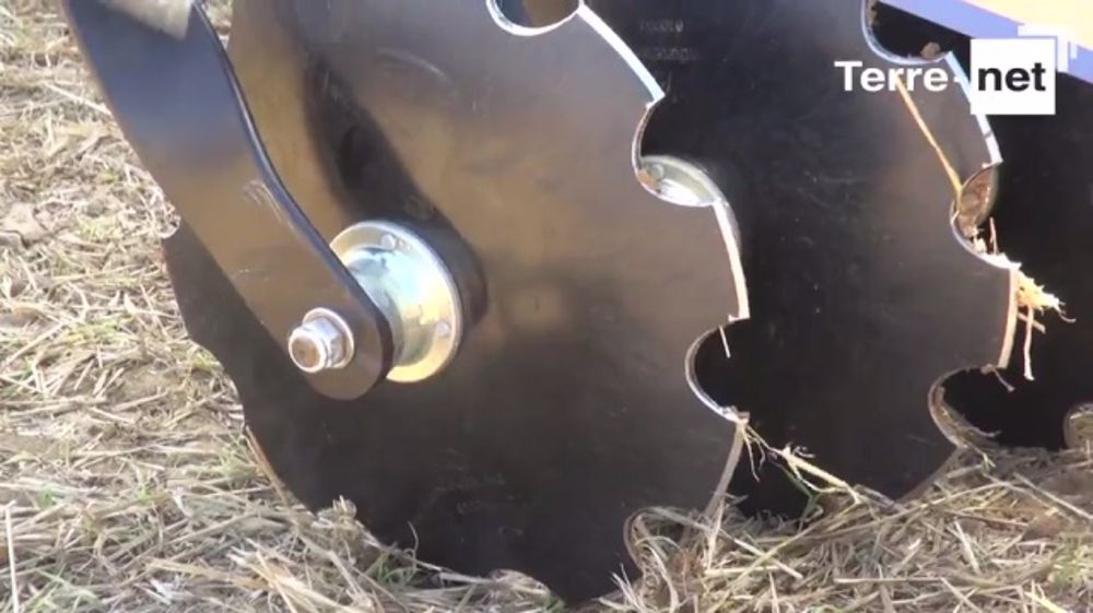 Les disques du Rebell dans les bacs