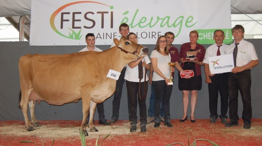 La fameuse Danaé sacrée grande championne par un juge anglais