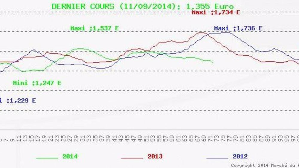 Forte baisse du cours moyen