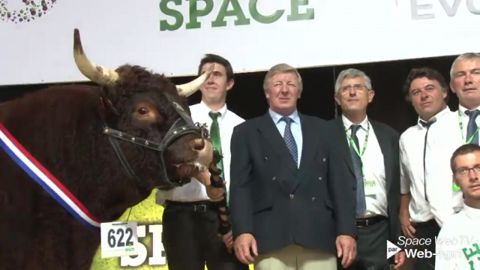 Forez et Gentiane, champions du festival génétique national salers (Maj vidéo) Forez et Gentiane, champions du festival génétique national salers (Maj vidéo)