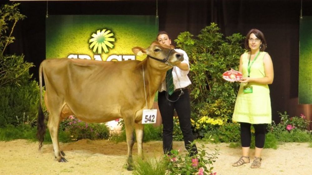 La grande championne se prénomme Hosiris La grande championne se prénomme Hosiris