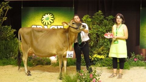 La grande championne se prénomme Hosiris