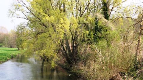 La guerre aux nitrates divise la campagne en Midi-Pyrénées