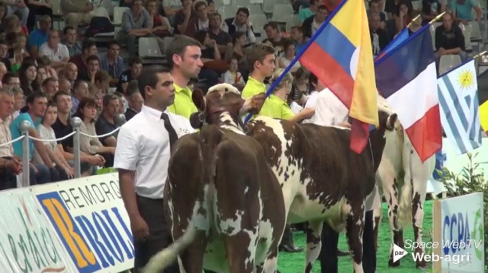 J. Ruiz Forero : « Il y a davantage de Normandes en Colombie qu’en France » J. Ruiz Forero : « Il y a davantage de Normandes en Colombie qu’en France »