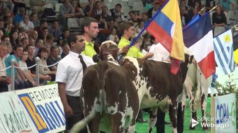 J. Ruiz Forero : « Il y a davantage de Normandes en Colombie qu’en France » J. Ruiz Forero : « Il y a davantage de Normandes en Colombie qu’en France »