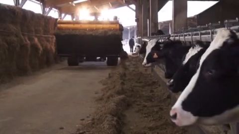 Comment faire des économies sans se dégonfler Comment faire des économies sans se dégonfler