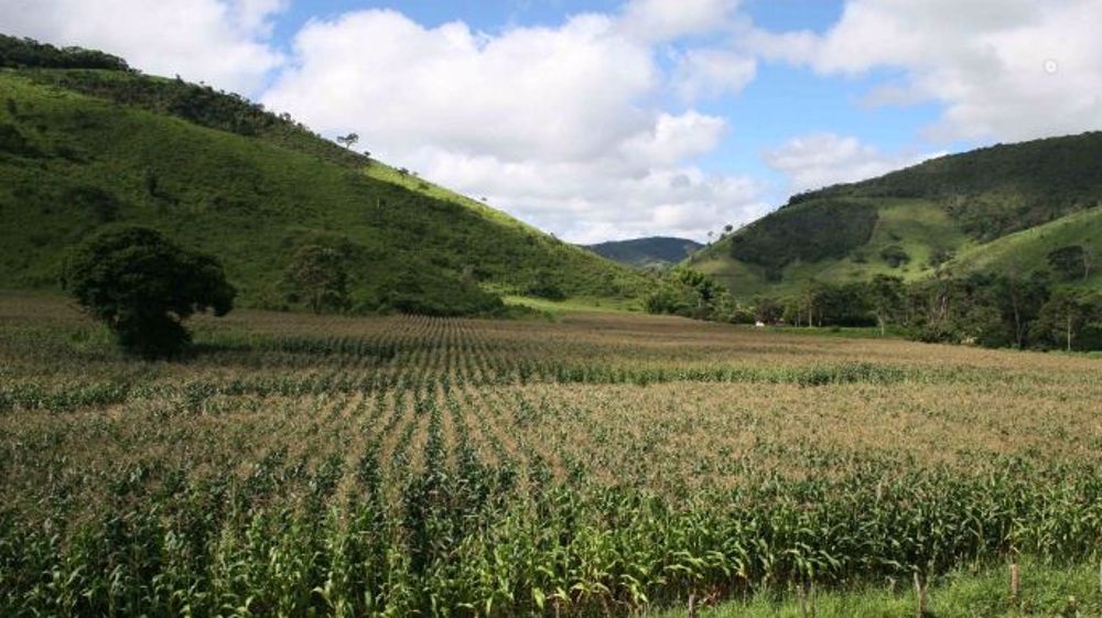 Quel que soit le prochain président, le secteur agricole poursuivra son essor