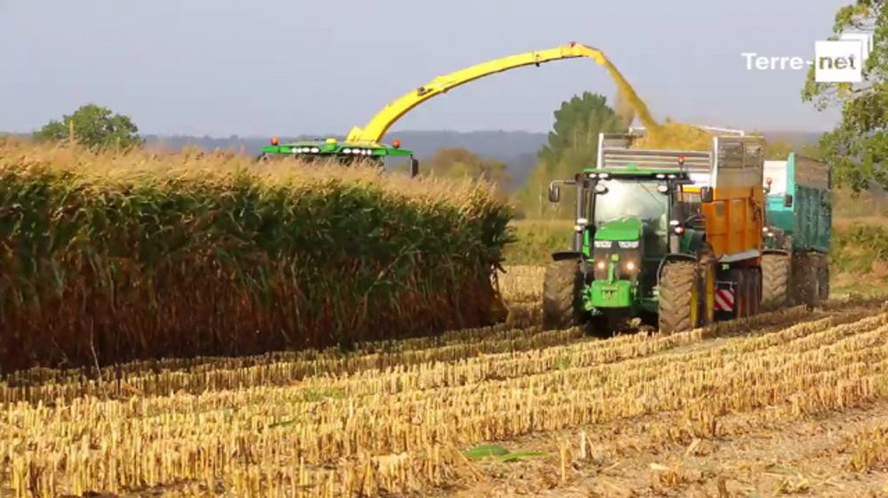 En vidéo aux champs